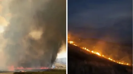 Қарағанды облысында ірі табиғи өрт сөндіріліп жатыр (ВИДЕО)