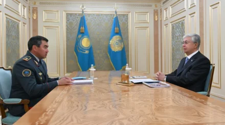 Тоқаев Әріновке ауылдардың өрт қауіпсіздігін күшейтуді тапсырды