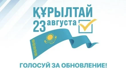 Все семь партий свободно ведут агитацию – промежуточный отчет Миссии СНГ