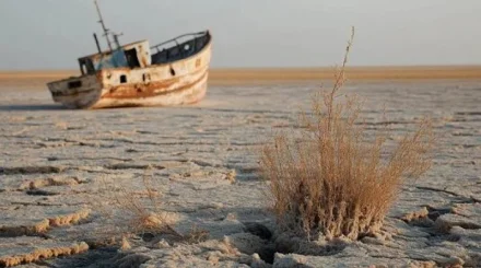 В Аральском море обнаружили новую угрозу