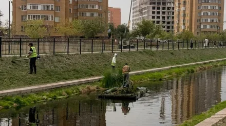 «Таза Қазақстан»: Астанада Сарыбұлақ өзенін тазарту жұмысы жүріп жатыр
