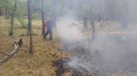 Штраф за беспечность
