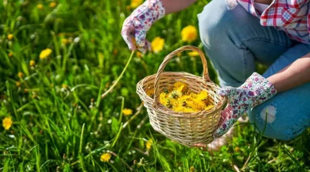 Иммунитетті қалай күшейтуге болады - мамандар кеңесі