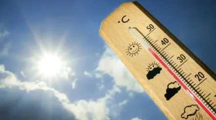 Шымкентте шілдеде 111 жыл бұрын тіркелген рекорд жаңарды