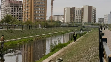  Елордада Сарыбұлақ өзенін тазарту жұмысы жүріп жатыр 
