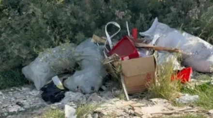 "Чистый берег - чистый водоем": ОСДП провела экологическую акцию