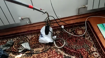 Леңгірде үй ішінен жылан шығып жұртты шошытты (ВИДЕО)