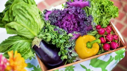 Где в Астане купить продукты по ценам ниже рыночных