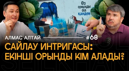 Теледебаты и предвыборная кампания: слон, болонка, жеребец, квашеная капуста — кто победил в PR-битве?
