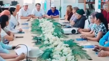 Образование, культура и поддержка бизнеса: в Байзакском районе прошли встречи с "Ак жол"