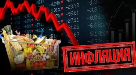 Стало ли дешевле жить? Посмотрели цены на продукты