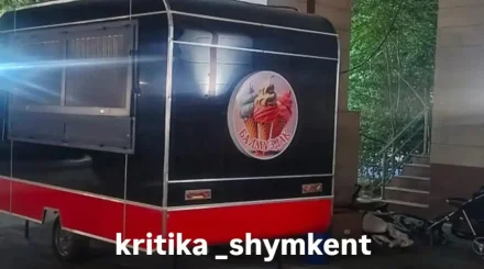 Шымкент саябағында балалар төбелесіп, пышақтасып қалды