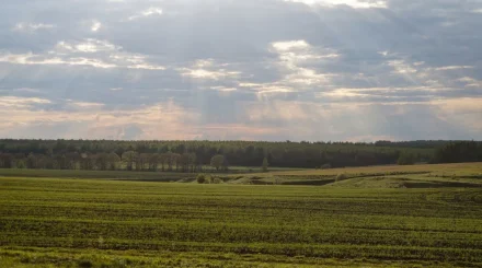 Қазақстанда Құрылтай күні қарсаңында ауа райы қандай болады