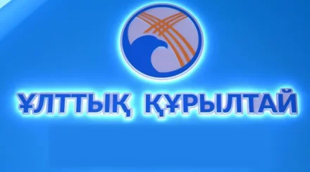 Египеттен келген сарапшы алдағы Құрылтай сайлауын жоғары бағалады