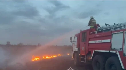 Огонь прошел более 14 га: в Акмолинской области потушили несколько степных пожаров