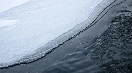 13-летний подросток вытащил из воды тонущего ребенка в Карагандинской области