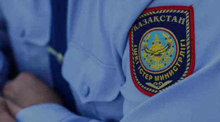 Казахстанка заявила о штрафе "за смех": полиция раскрыла детали