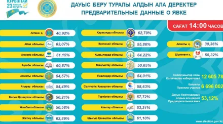  Қазірге дейін 7 миллионға жуық тұрғын дауыс берді – ОСК 