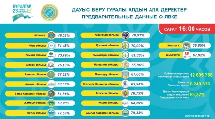 Құрылтай сайлауы: сағат 16:00-ге дейін 8,2 млн-нан астам адам дауыс берді