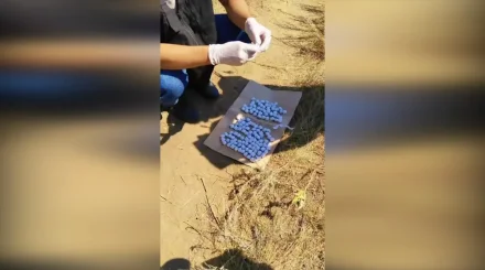 Полицейские Актобе изъяли более 370 свёртков с наркотиками у предполагаемых закладчиков