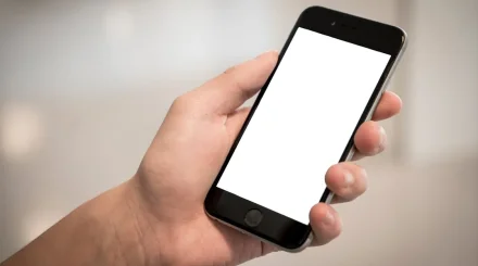 Қазақстанда алаяқтар Beeline, Kcell және Activ абоненттеріне 150 мың жалған SMS жіберген