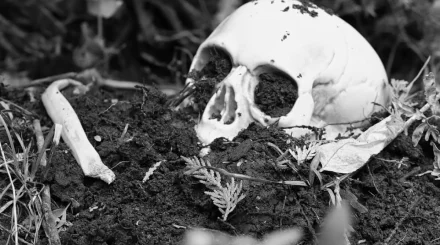 Ученые нашли скелет с более чем 160 переломами: возможная жертва средневекового оружия в Шотландии