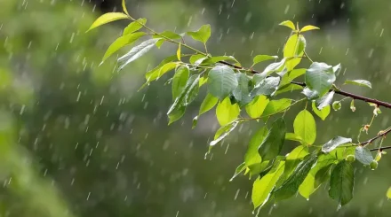 Алдағы күндері еліміздің бірқатар өңірінде қар жауады