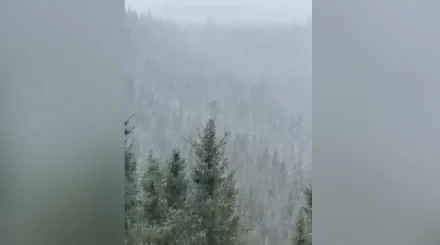 Снег выпал в горах Алматинской области (ВИДЕО)