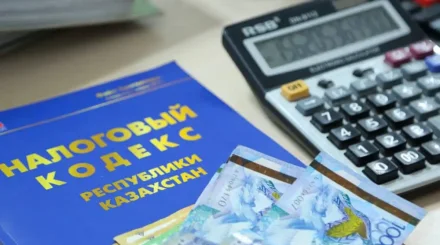 Налоговые сроки сентября: что нужно успеть до 15 и 25 числа