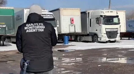 В Алматинской области 17 участников ОПГ осуждены за незаконную регистрацию более 800 автомобилей