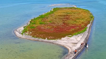 Новый остров появился в Каспийском море  Источник