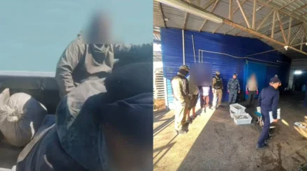  Балқаш көлінен 53 келі көксеркені заңсыз аулаған екі азамат ұсталды 