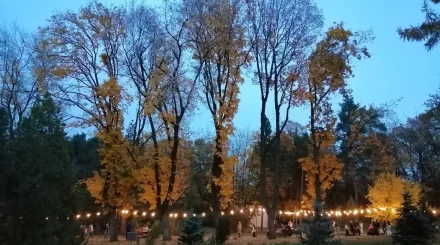 Дачный вопрос: что можно посадить в огороде осенью