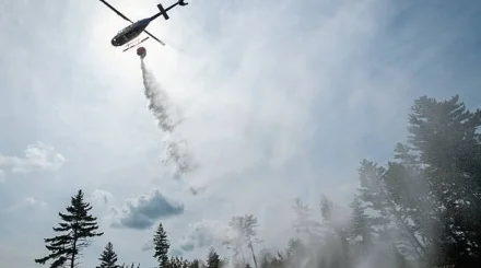 Ақтөбе облысындағы орман өртін сөндіруге тікұшақтар жұмылдырылды