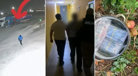 Павлодарда күзетші кәсіпорынның 25 млн теңгесін ұрлап, ауласындағы алма ағашына жасырып қойған (ВИДЕО)