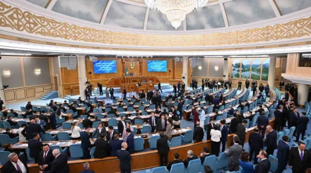  Президент елімізде кәсіби Парламентке деген сұраныс артқанын атап өтті 