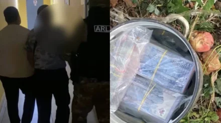 Кастрюлю с 24 миллиона тенге нашли под деревом в Павлодаре