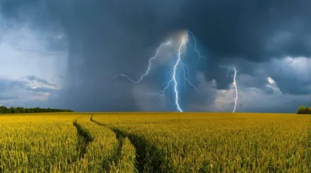 Найзағай, қатты жел: Еліміздің басым бөлігінде дауылды ескерту жарияланды