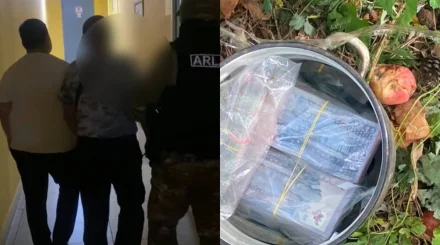 Павлодарда алма ағашының түбінен 25 миллион теңге салынған ыдыс табылды