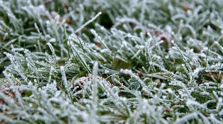 Үсік, нөсер және қатты жел: 30 тамызда ауа райы бұзылады