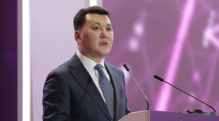 Курултай одобрил кандидатуру Ерлана Карина на пост Вице-президента