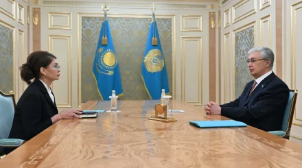 Президент Қауіпсіздік Кеңесі Төрағасының орынбасары Аида Балаеваны қабылдады