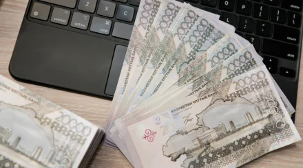 35 млн тенге вернули в бюджет после проверки земель в Байзакском районе