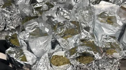 32 кг наркотиков под видом косметики попытались ввезти в Казахстан