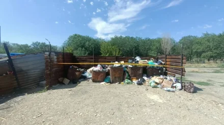 Младенца выбросили в мусорку в Жамбылской области: мать ребенка найдена