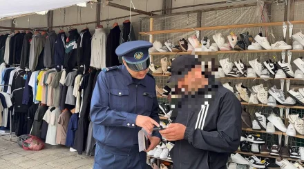 Двух иностранцев застали за нелегальной работой в Петропавловске