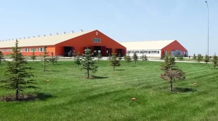 Павлодарда кәріз құдығын түскен 6 адам улы газға уланып қалған