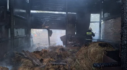 Огонь вспыхнул во дворе частного дома в селе близ Астаны
