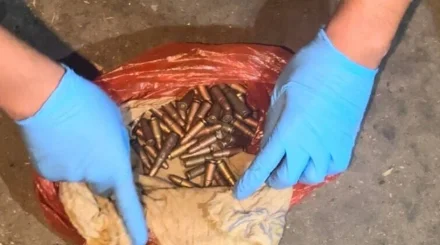 Шығыс Қазақстанда полицейлер заңсыз қару-жарақ арсеналын анықтады 