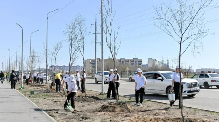 141 стихийную свалку нашли из космоса в области Абай: теперь субботники будут каждую неделю